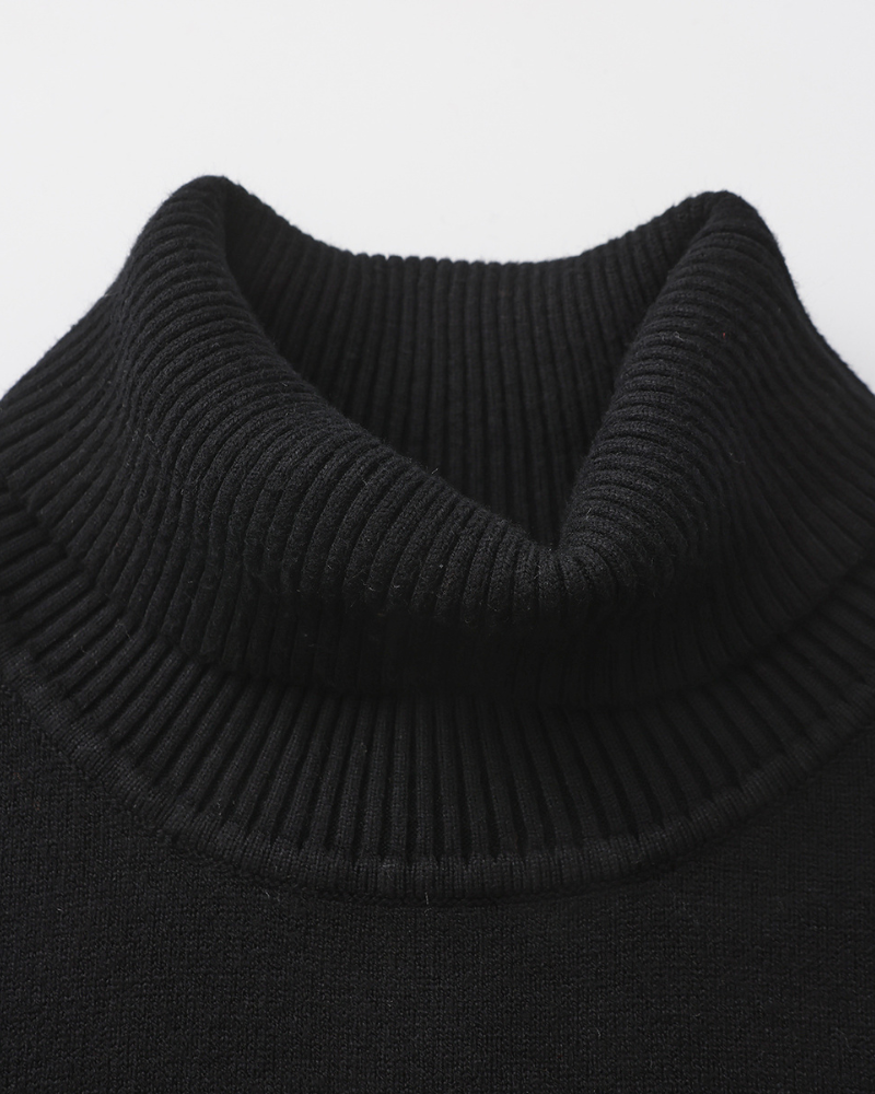 Prestique's Wool Turtleneck